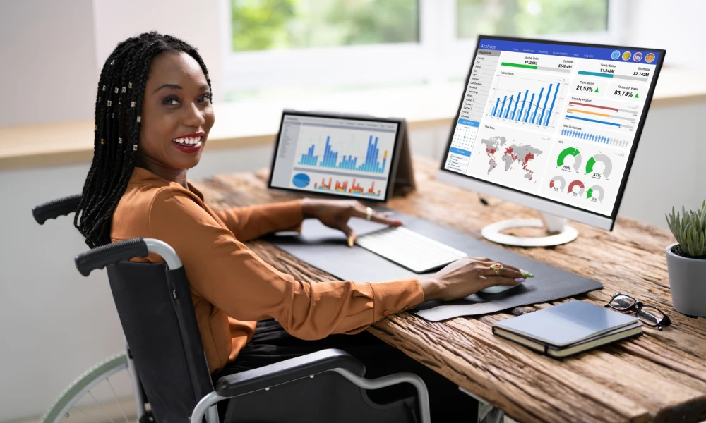 What is Data Entry and Organization